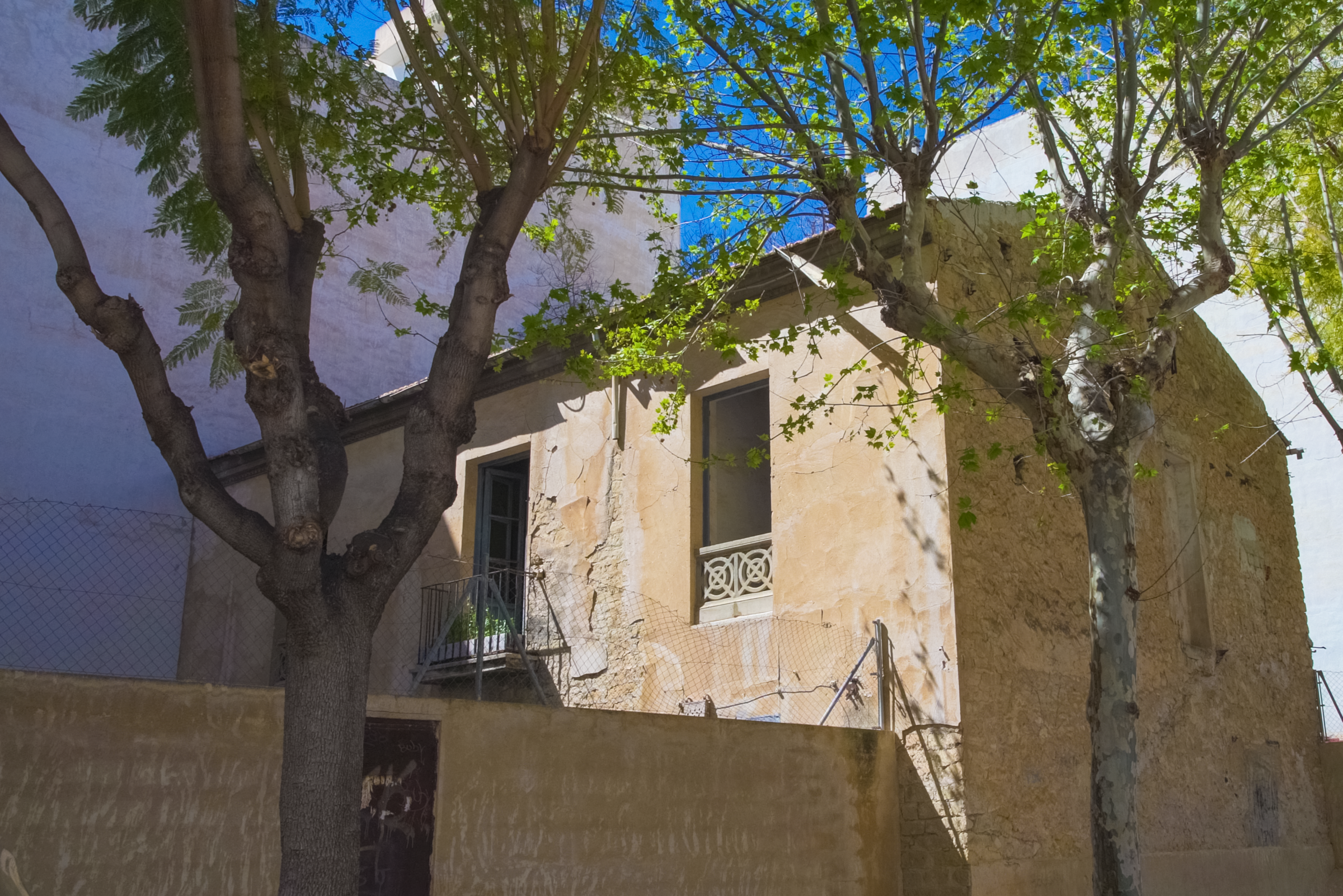 Molino de la Maigmona, Sant Joan d'Alacant. 2021. Imagen de Joan Chápuli.